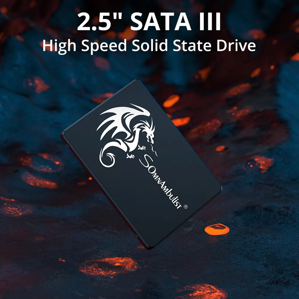 High-Speed 2.5" SATA III Internal SSD for PC & Laptop