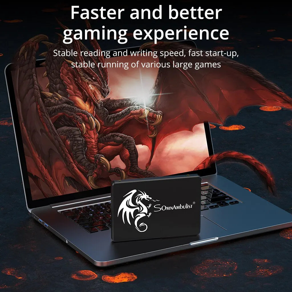 High-Speed 2.5" SATA III Internal SSD for PC & Laptop