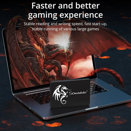 High-Speed 2.5" SATA III Internal SSD for PC & Laptop